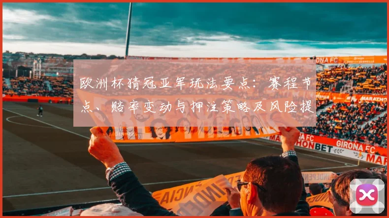欧洲杯猜冠亚军玩法要点：赛程节点、赔率变动与押注策略及风险提示