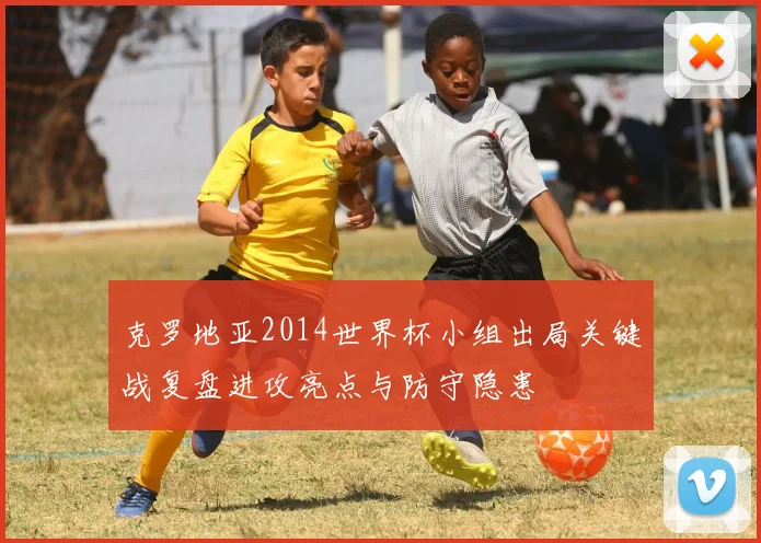 克罗地亚2014世界杯小组出局关键战复盘进攻亮点与防守隐患