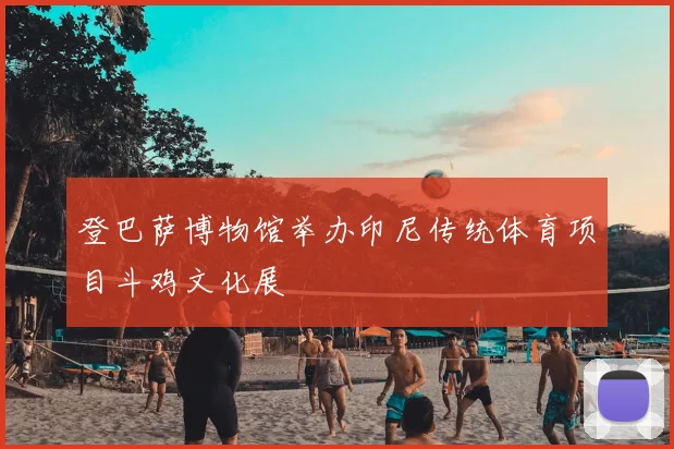 登巴萨博物馆举办印尼传统体育项目斗鸡文化展