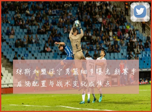 琼斯加盟辽宁男篮细节曝光 新赛季后场配置与战术变化成焦点