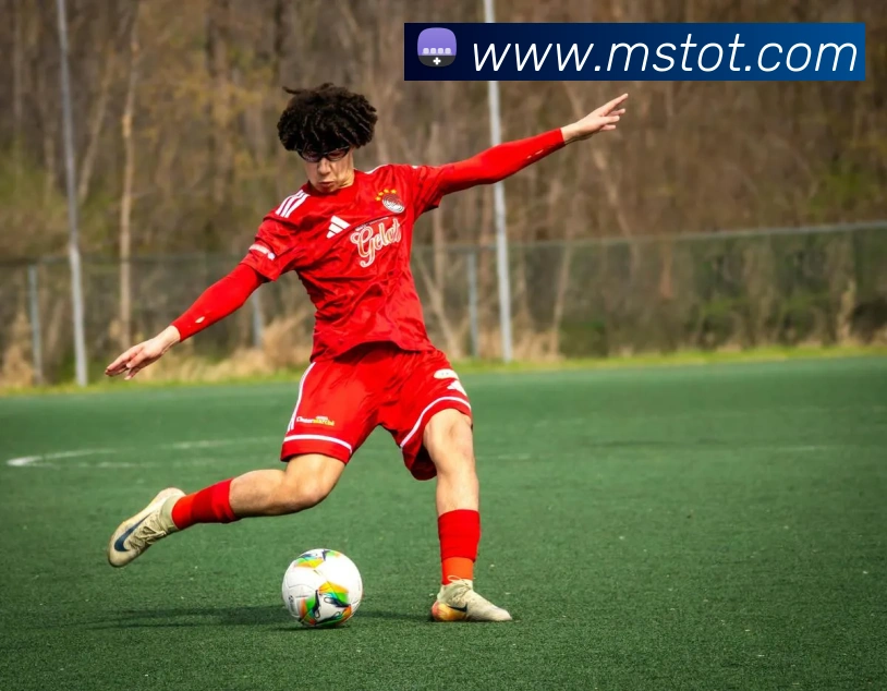 拼搏体育平台生态图